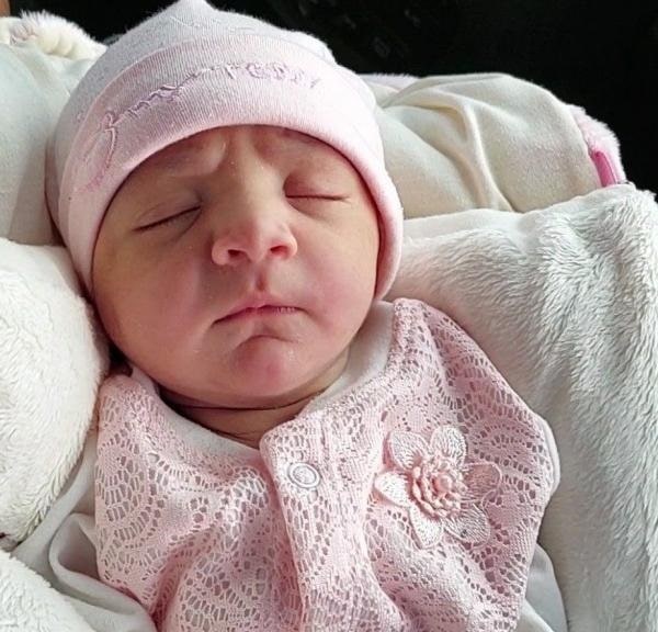 آیلین گودرزی